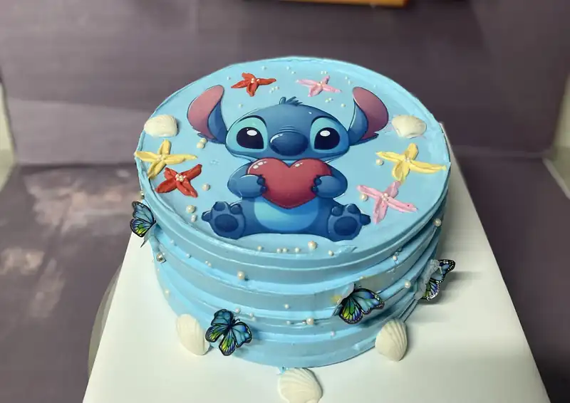Stitch Model Pasta